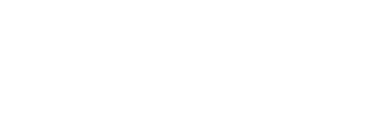 브이드림 로고